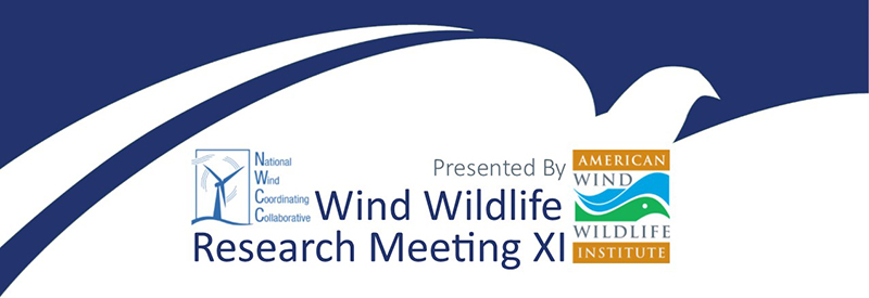 WWRM XI Logo